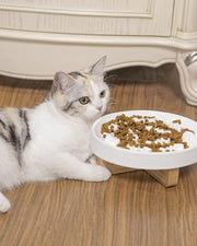 Ceramic Pet Feeder, Slow Feed Cat Bowls For Healthy Eating For Cats And Small Dogs