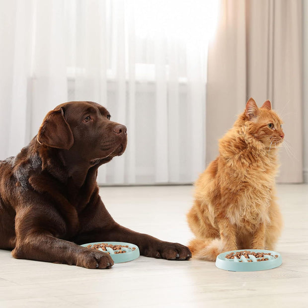 Cat Slow Feeder Bowl Slow Feed Cat Dish Fishbone Cat Slow Feeder Small Interactive Dog Feeder Dish Anti Gulping Pet Bowl For Cat And Dog Slow Eating To Against Bloat