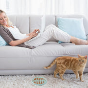 Cat Slow Feeder Bowl Slow Feed Cat Dish Fishbone Cat Slow Feeder Small Interactive Dog Feeder Dish Anti Gulping Pet Bowl For Cat And Dog Slow Eating To Against Bloat